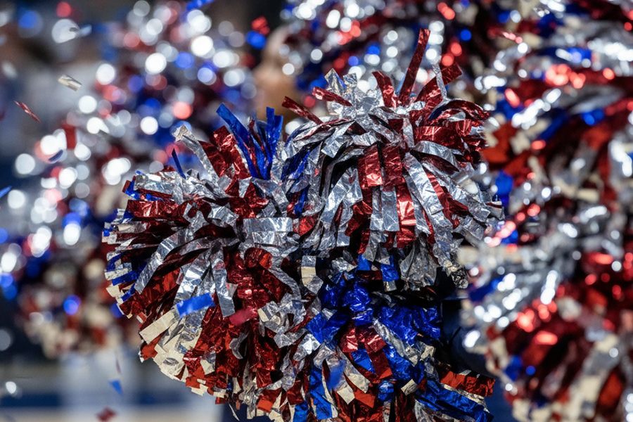 Cheer Pom Poms-3